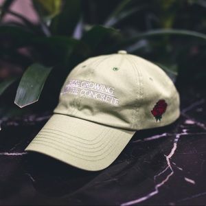 A Rose Growing From the Concrete Hat.